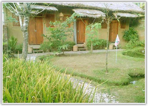 Baleku Homestay Trawangan Gili Trawangan Buitenkant foto